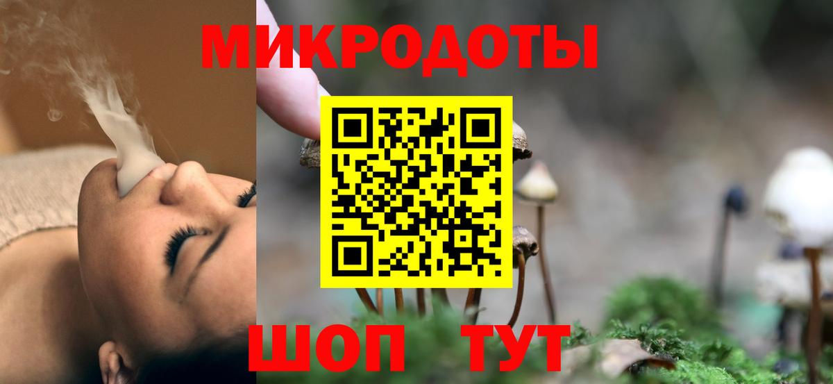 Псилоцибиновые грибы Cubensis Кимовск